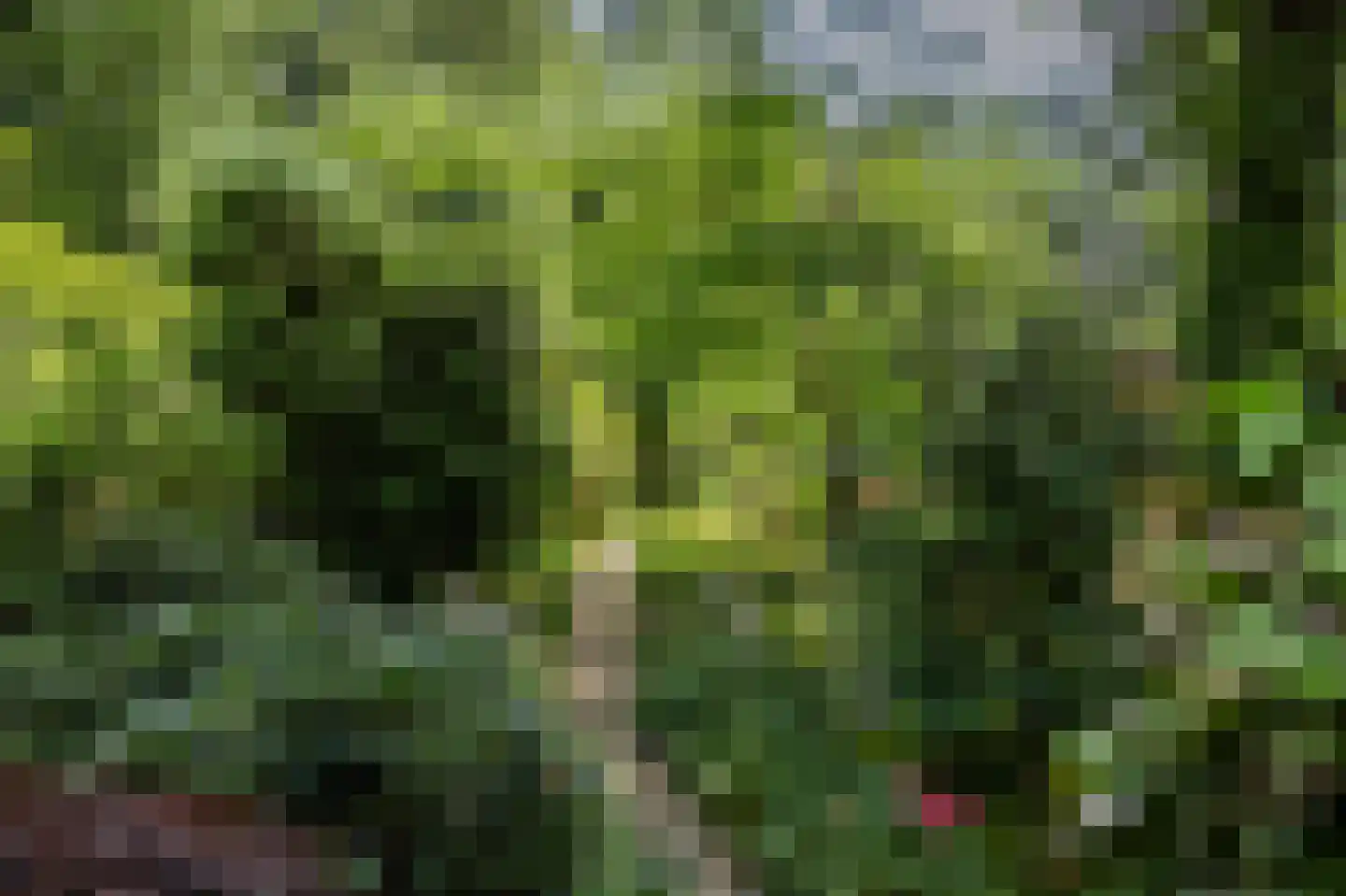 Horalaan 12 Bennekom thumbnail 54