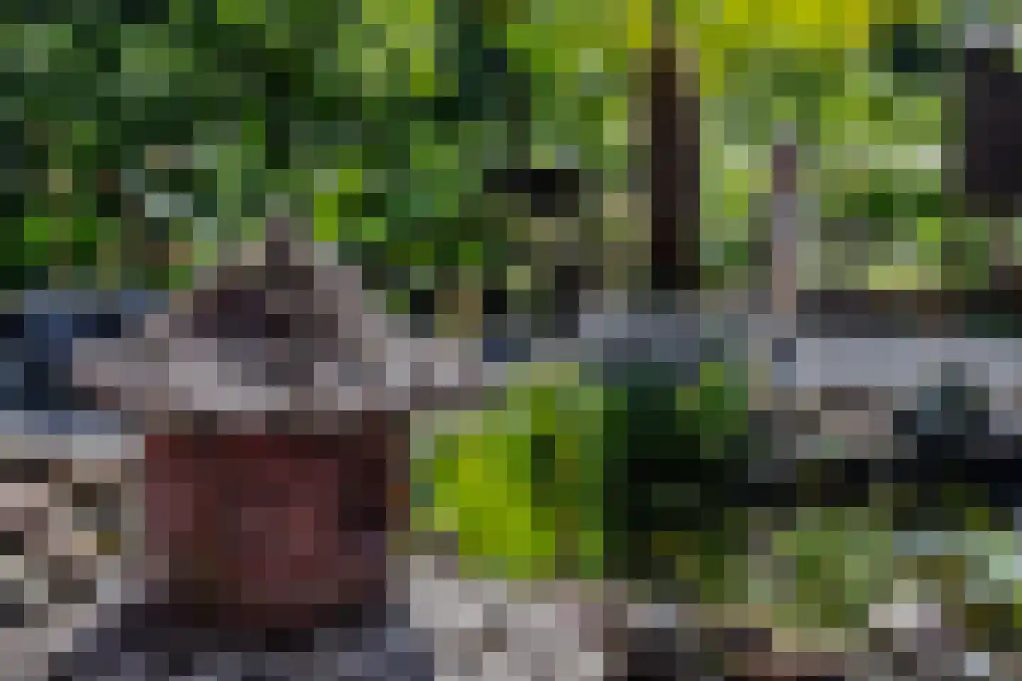 Horalaan 12 Bennekom thumbnail 56