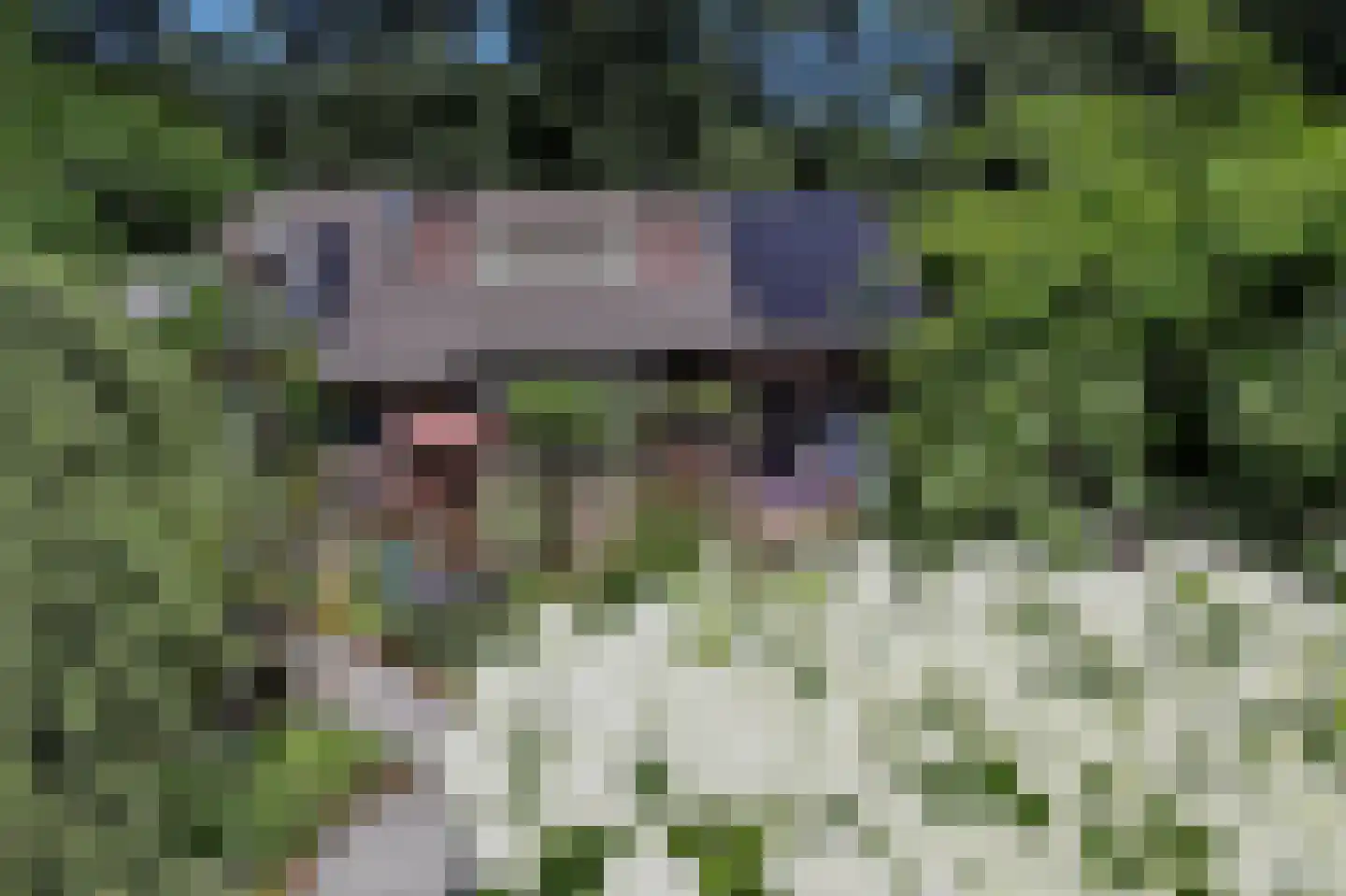 Horalaan 12 Bennekom thumbnail 6