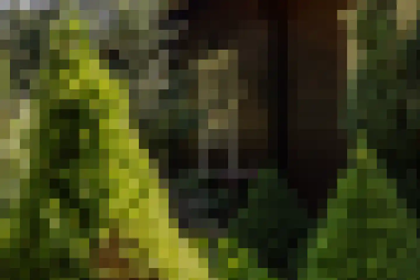 Horalaan 12 Bennekom thumbnail 7