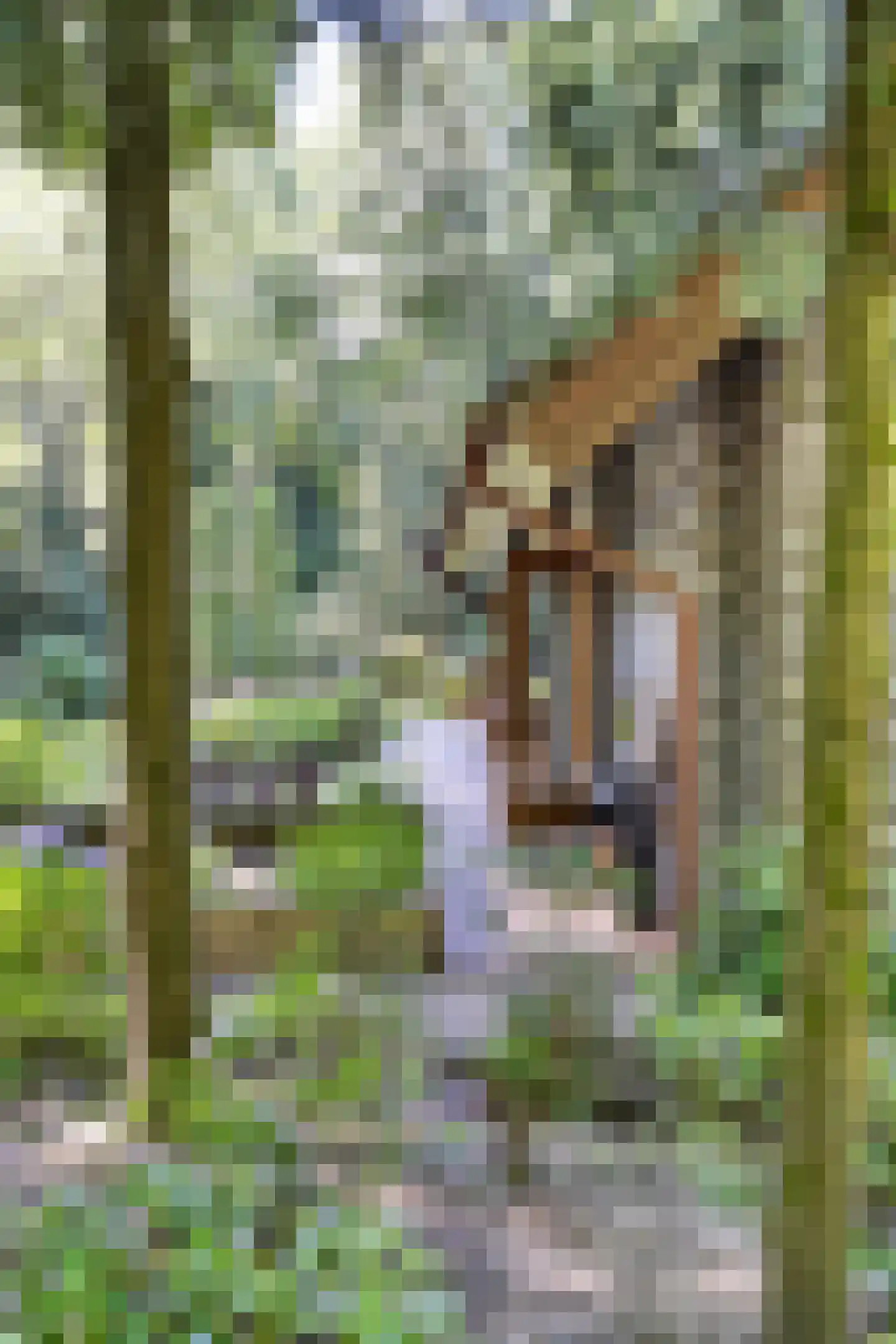 Horalaan 155 Bennekom thumbnail 40