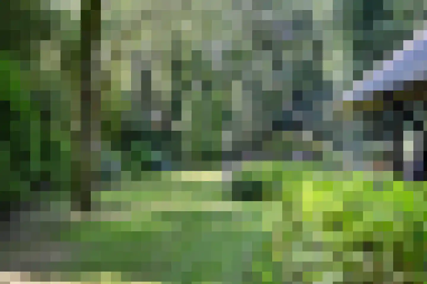 Horalaan 155 Bennekom thumbnail 41