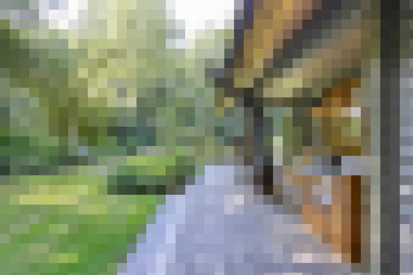 Horalaan 155 Bennekom thumbnail 42