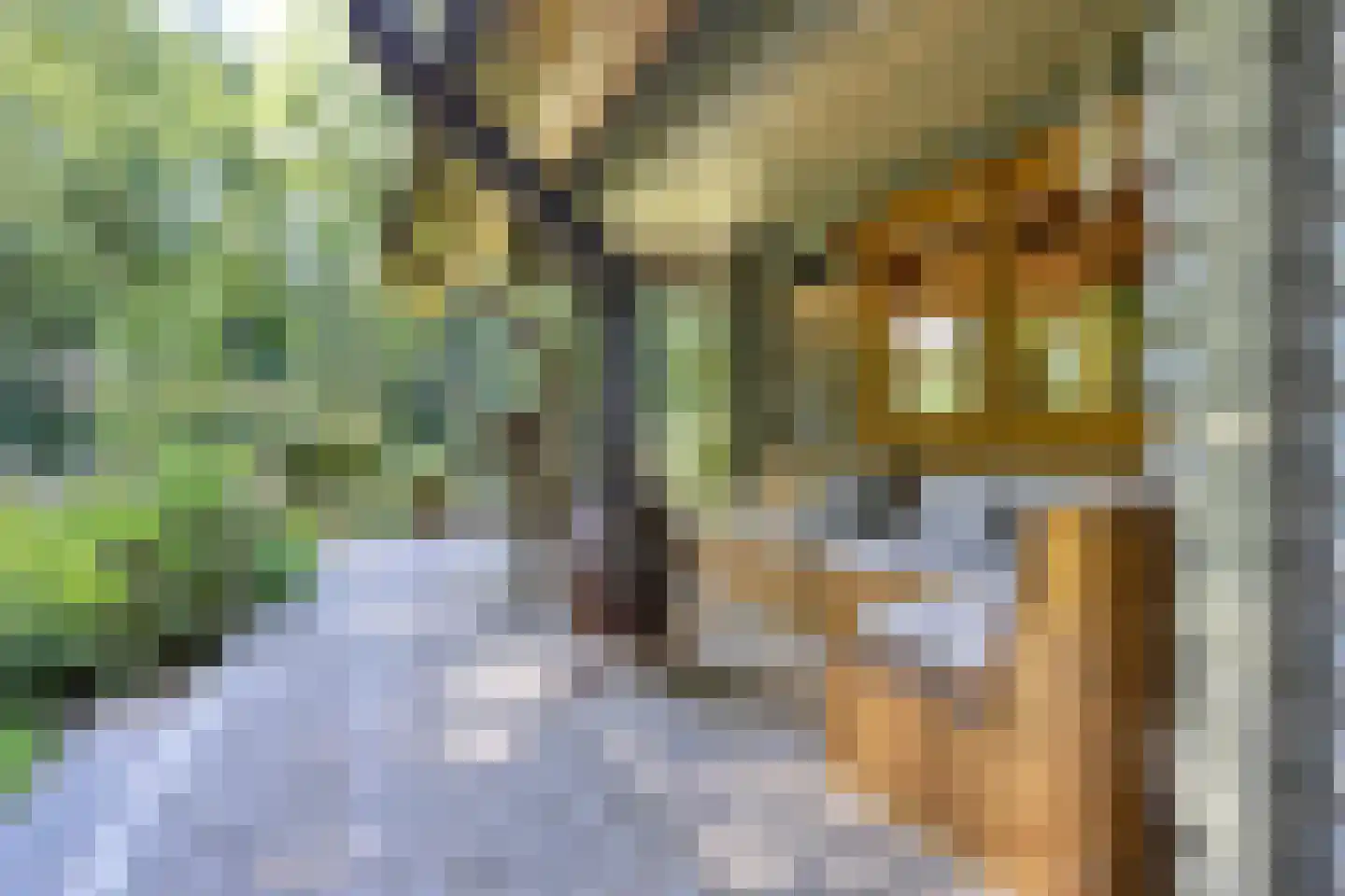 Horalaan 155 Bennekom thumbnail 43