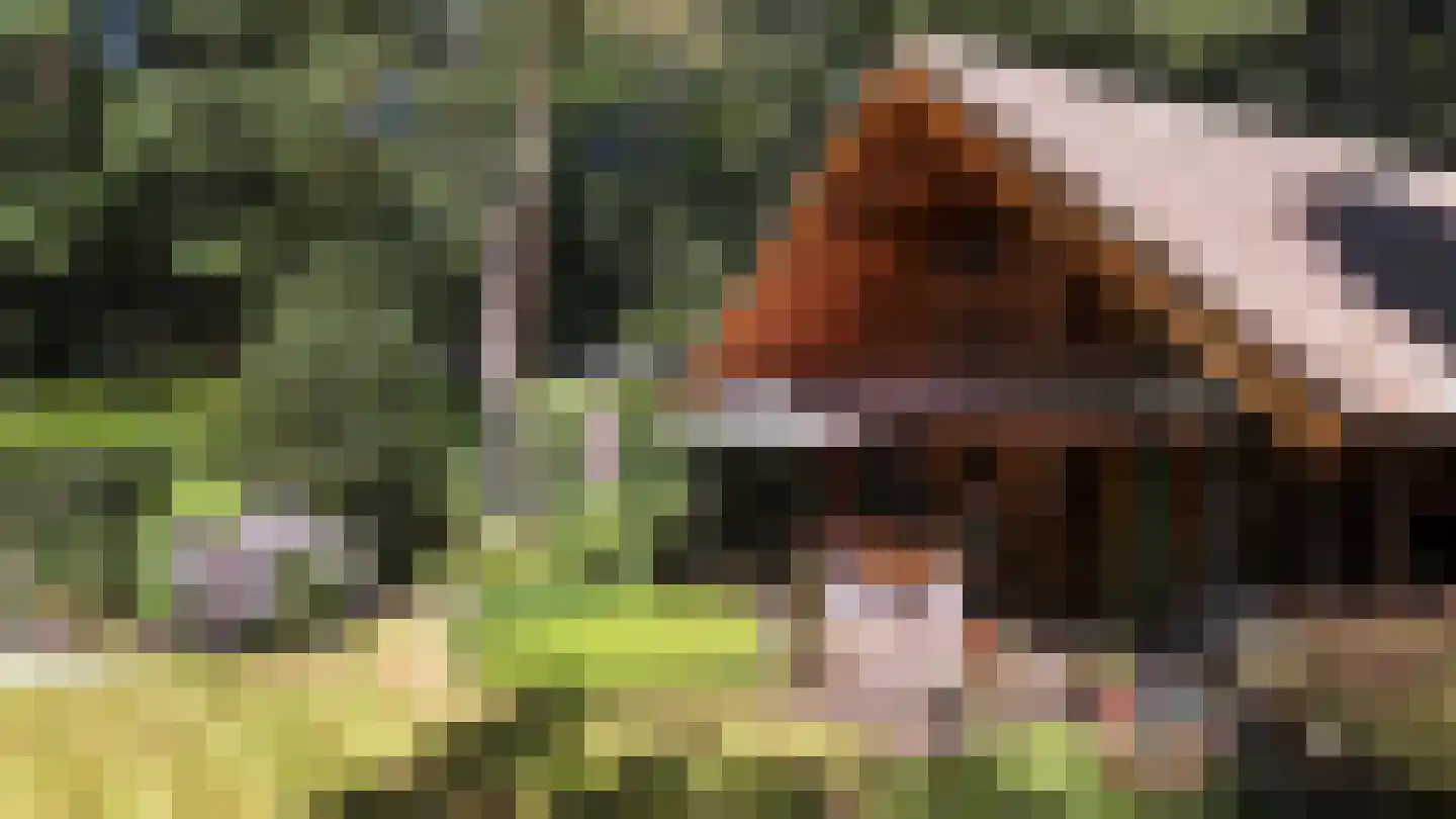 Horalaan 155 Bennekom thumbnail 46