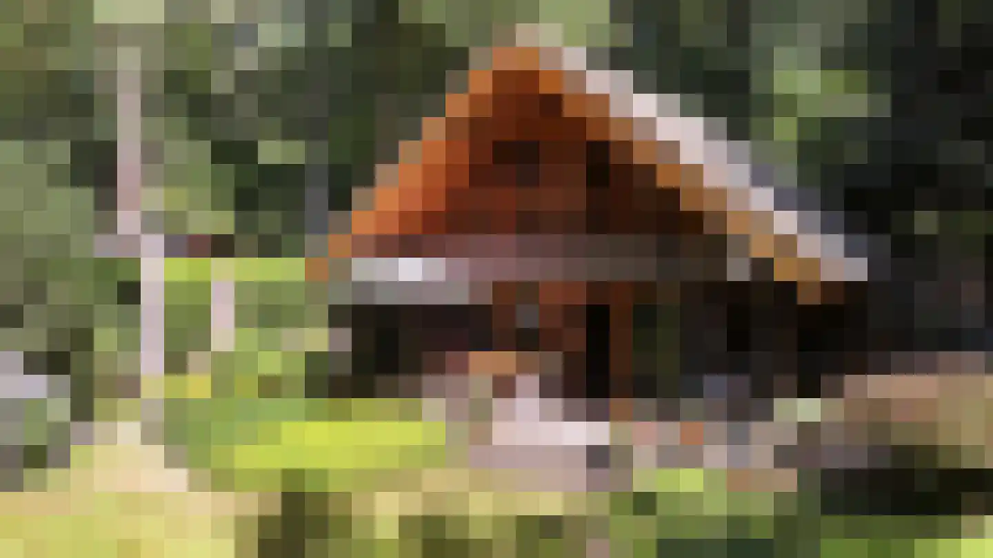 Horalaan 155 Bennekom thumbnail 47