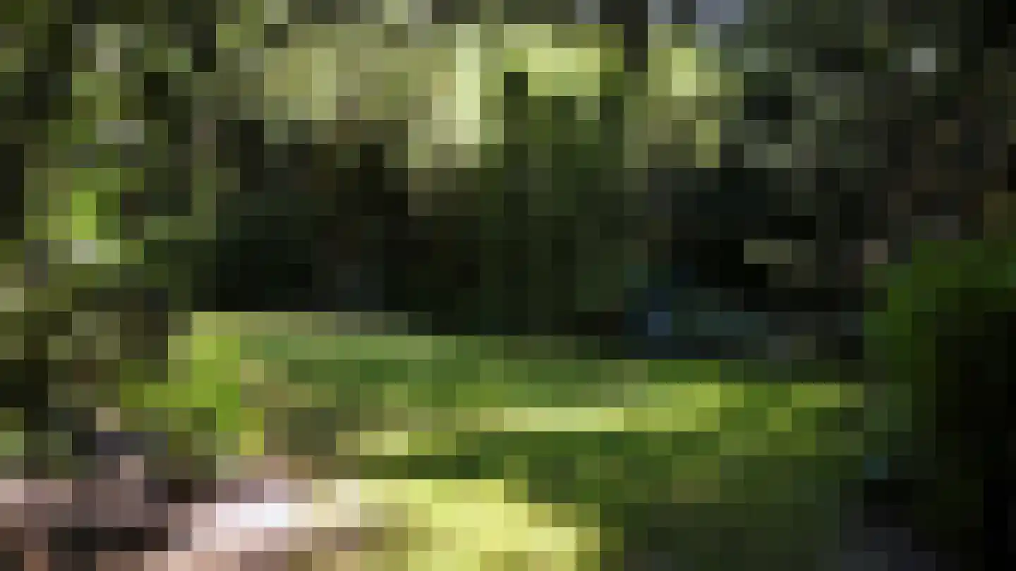 Horalaan 155 Bennekom thumbnail 51