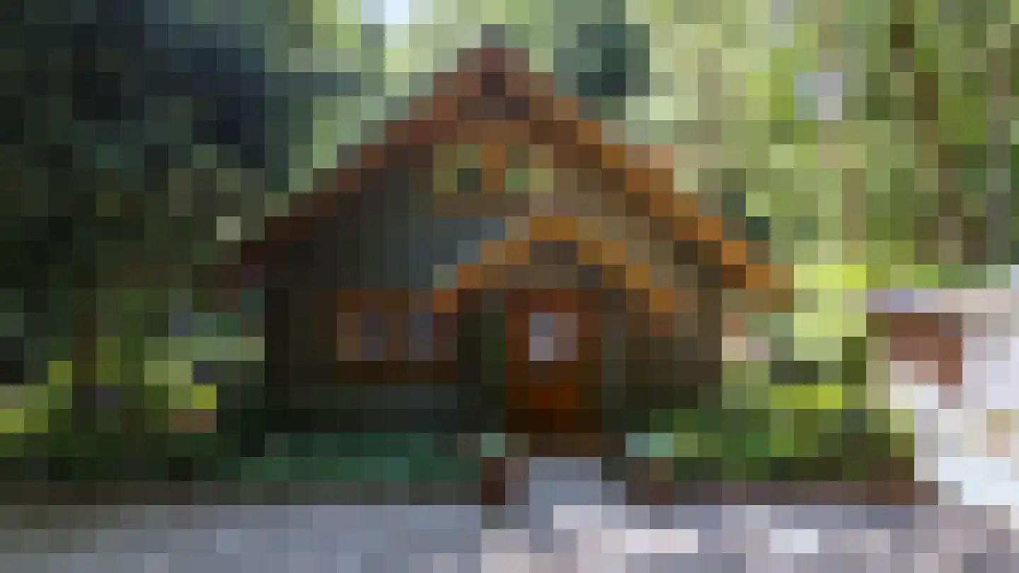 Horalaan 155 Bennekom thumbnail 56