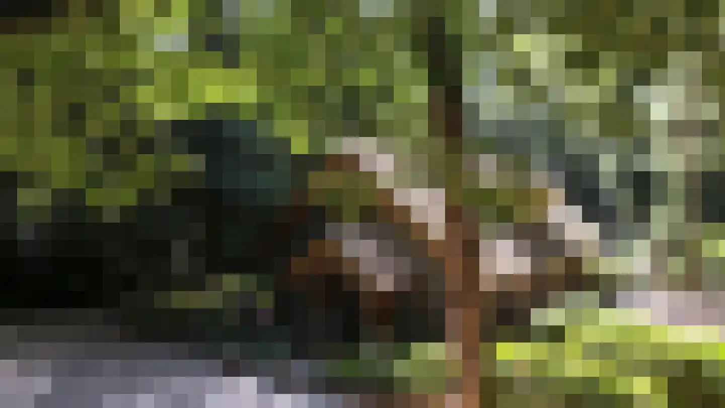 Horalaan 155 Bennekom thumbnail 57