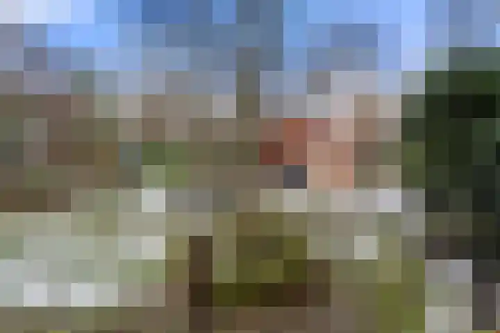 Horalaan 58 Bennekom thumbnail 25