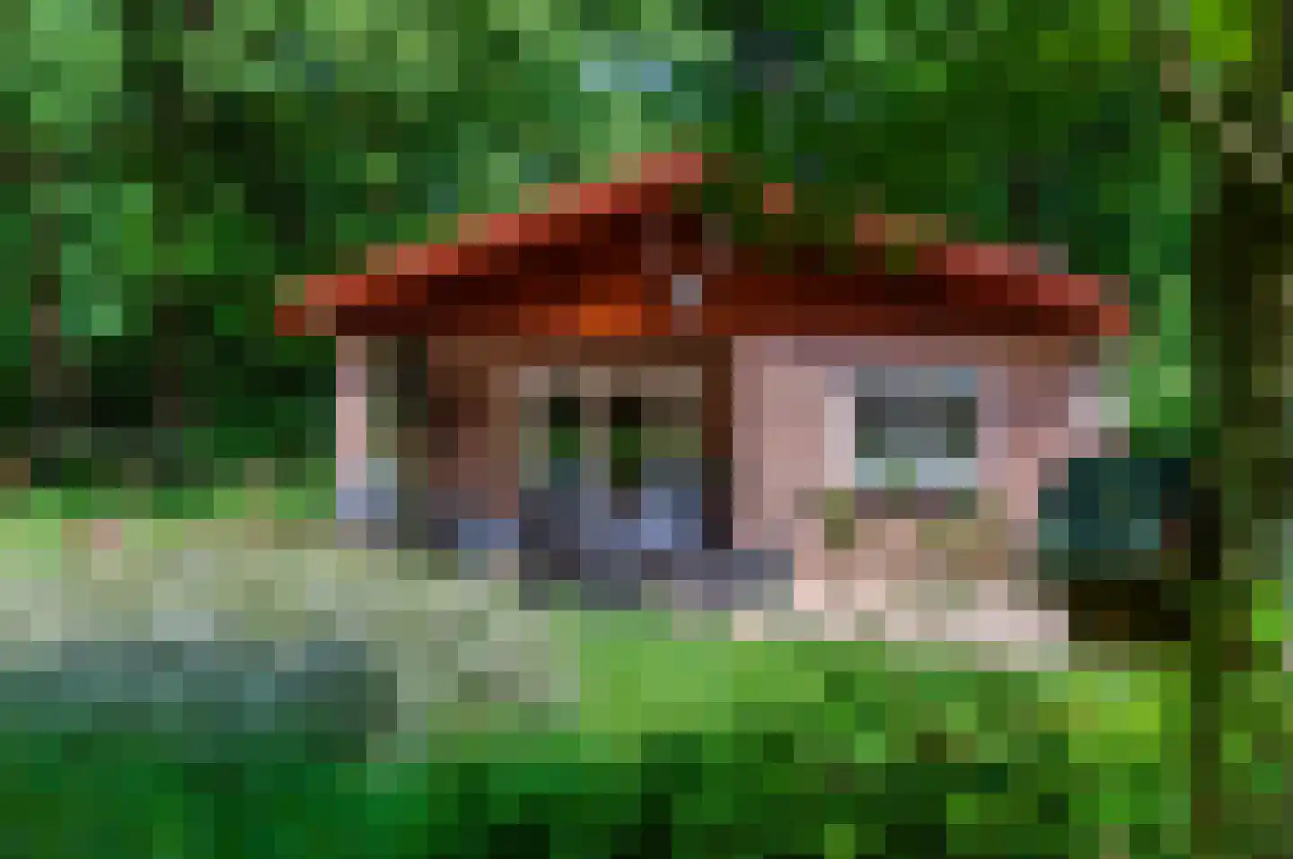 Horalaan 58 Bennekom thumbnail 27