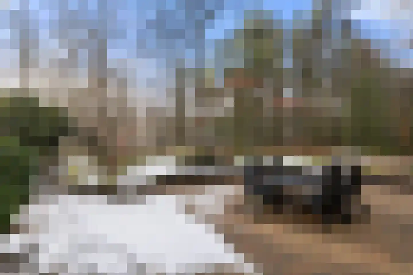 Horalaan 58 Bennekom thumbnail 29