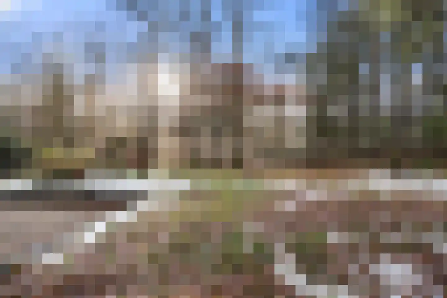 Horalaan 58 Bennekom thumbnail 30
