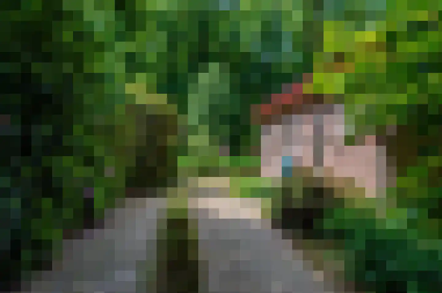 Horalaan 58 Bennekom thumbnail 31