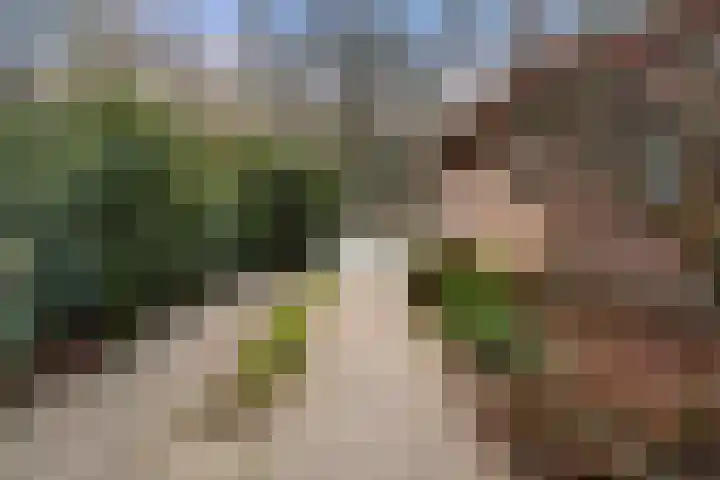 Horalaan 58 Bennekom thumbnail 31