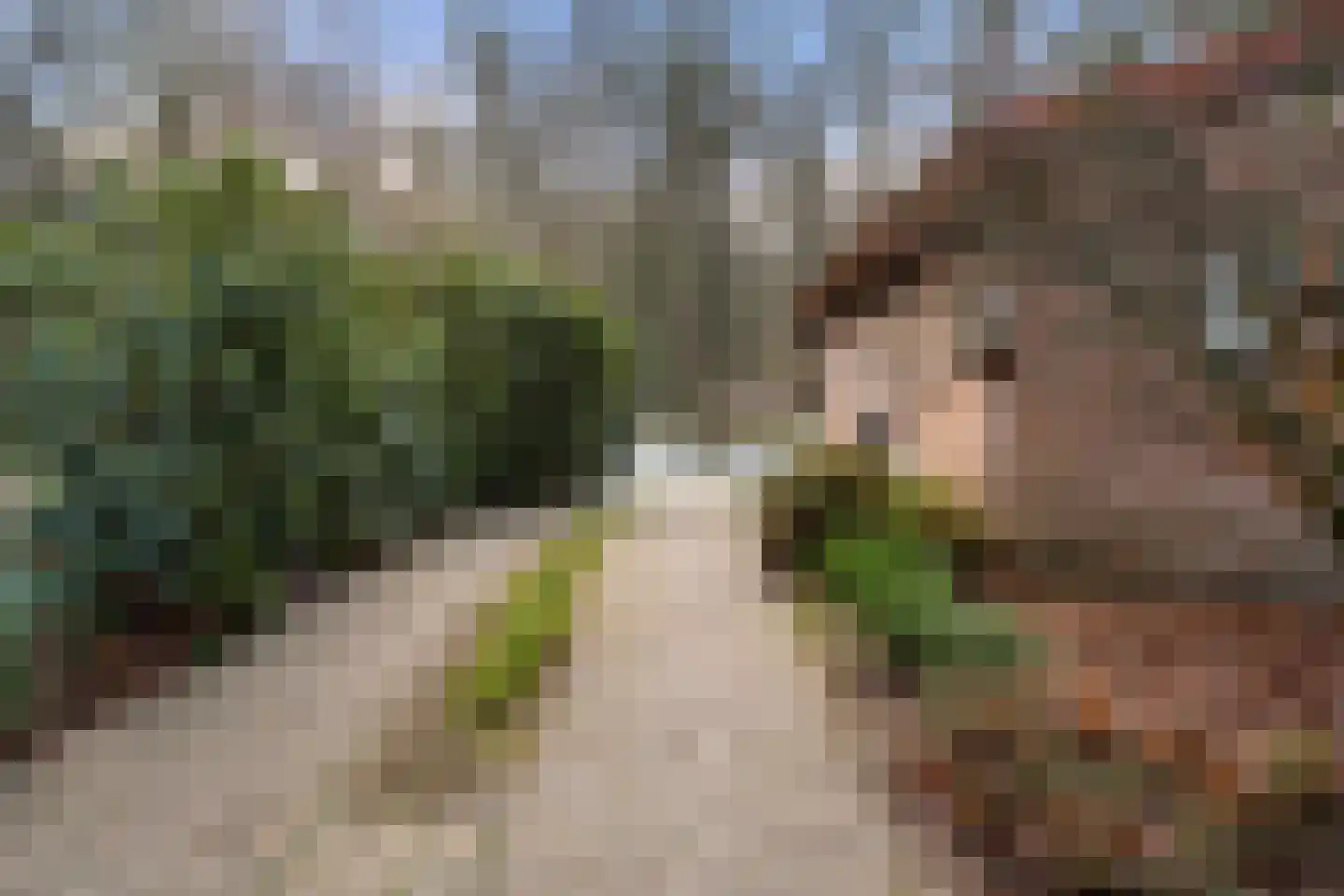 Horalaan 58 Bennekom thumbnail 31