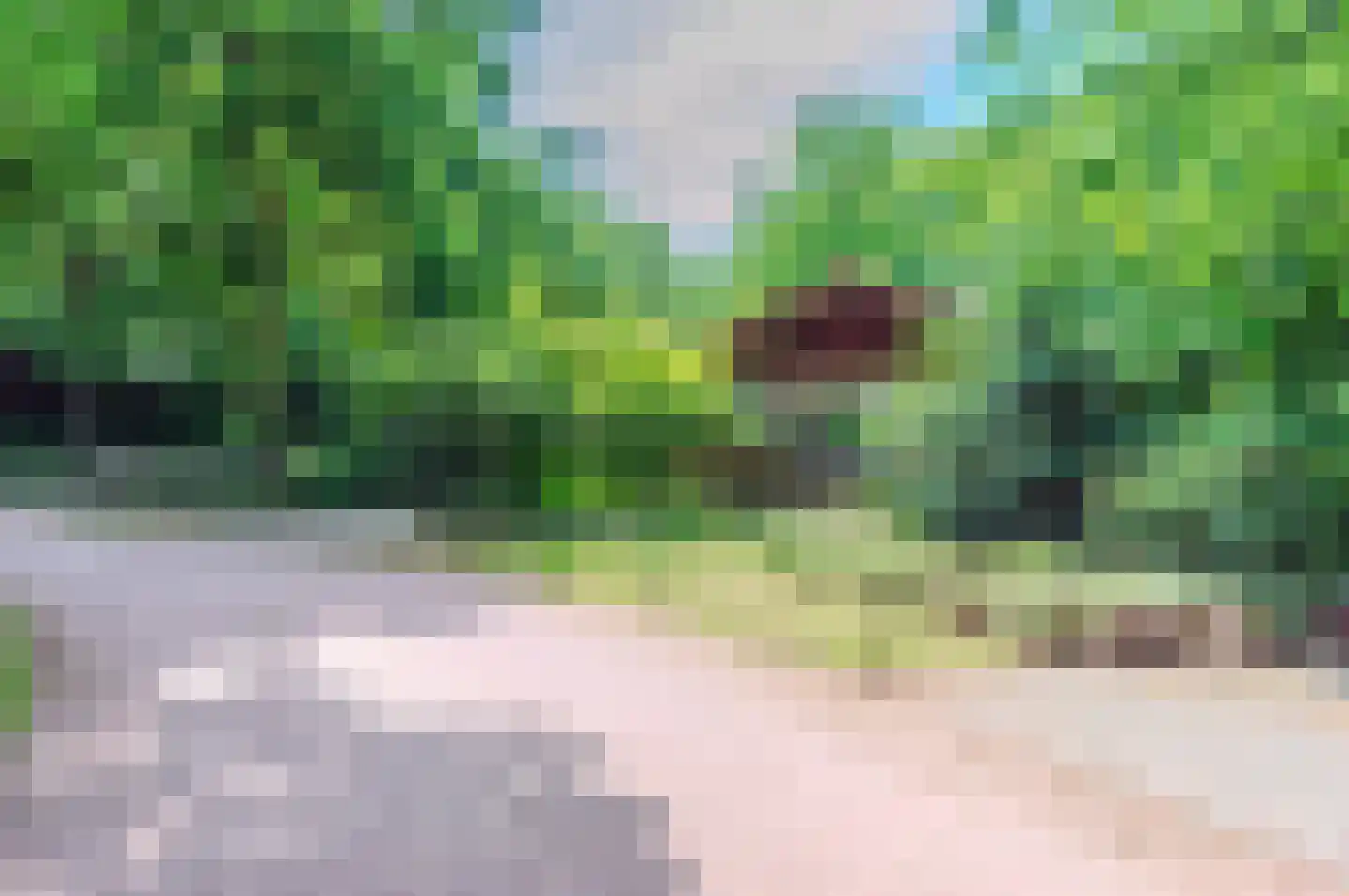 Horalaan 58 Bennekom thumbnail 33