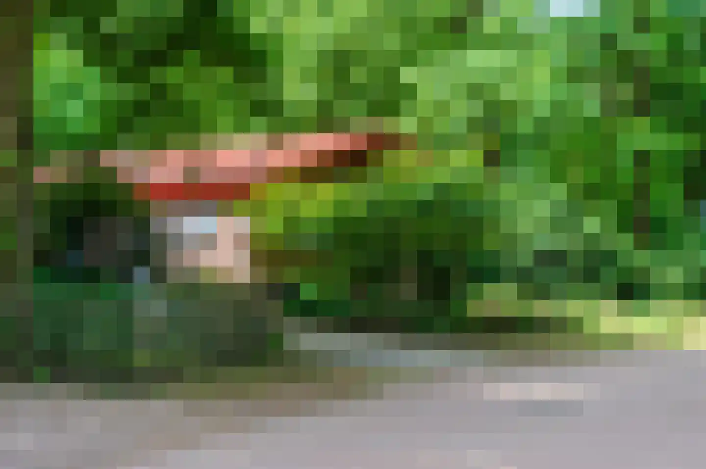 Horalaan 58 Bennekom thumbnail 34