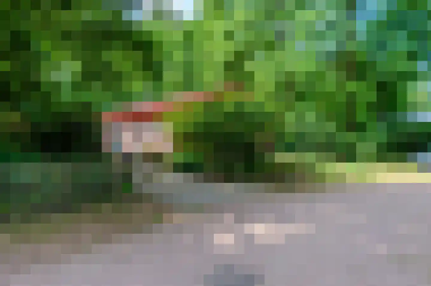 Horalaan 58 Bennekom thumbnail 35