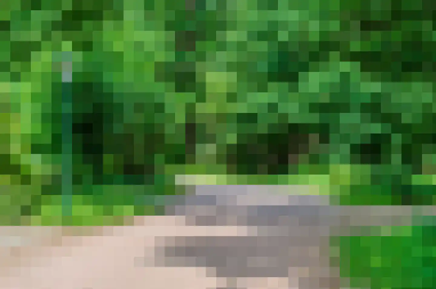 Horalaan 58 Bennekom thumbnail 36