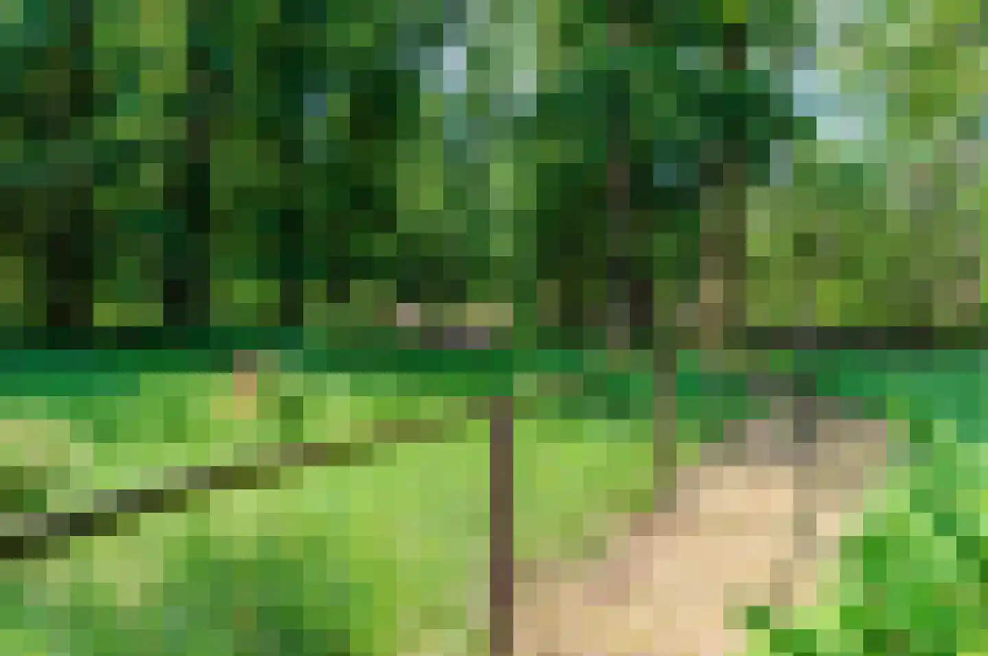 Horalaan 58 Bennekom thumbnail 38