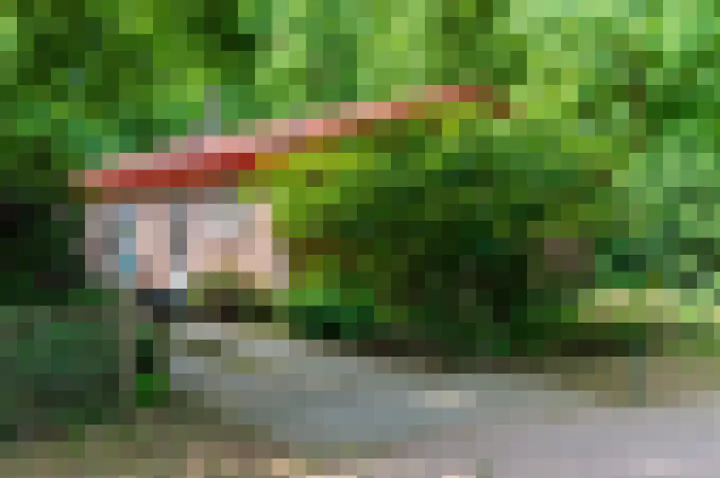 Horalaan 58 Bennekom thumbnail 5