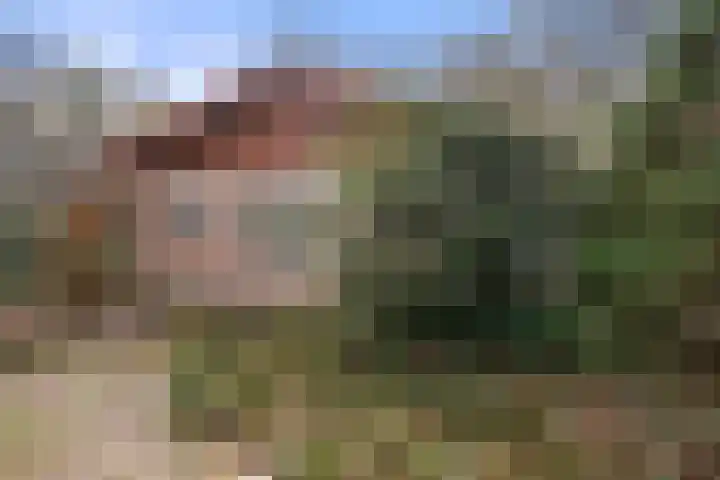 Horalaan 58 Bennekom thumbnail 6
