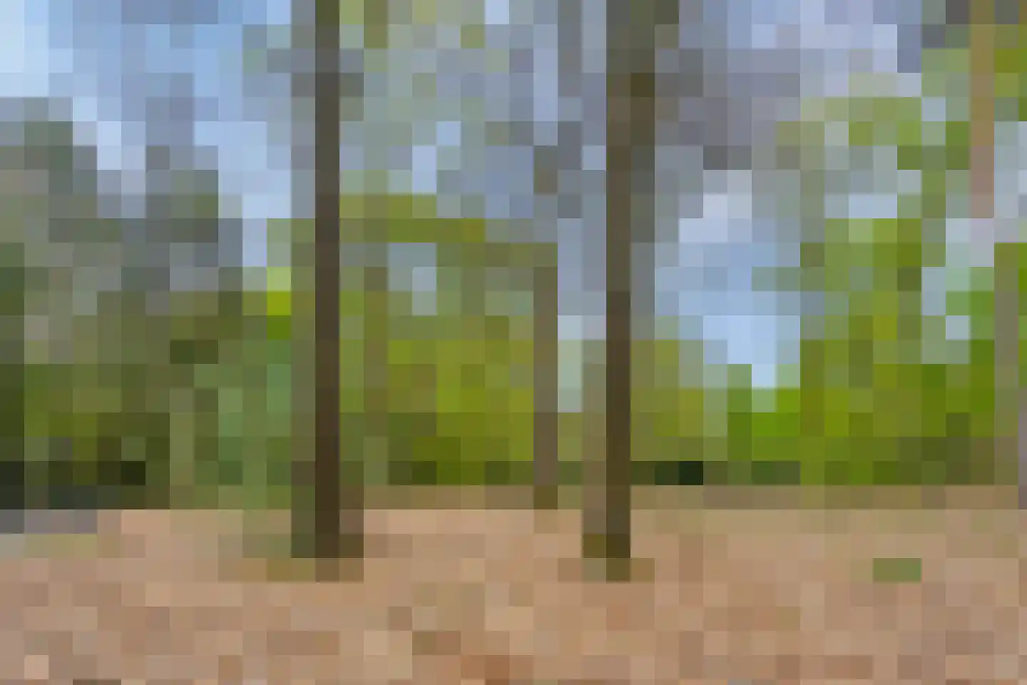 Horalaan 74 Bennekom thumbnail 30