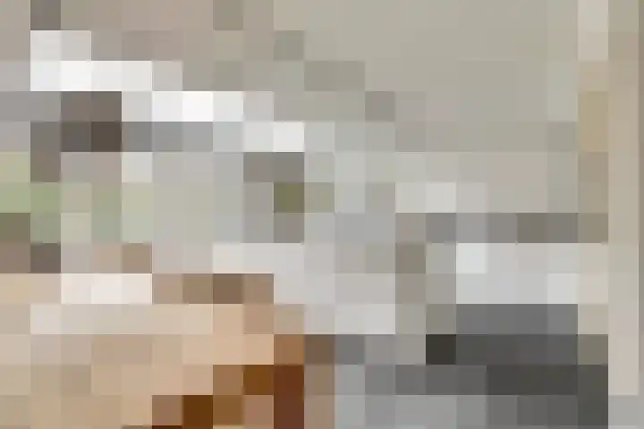Horatius 6 Wijk bij Duurstede thumbnail 10