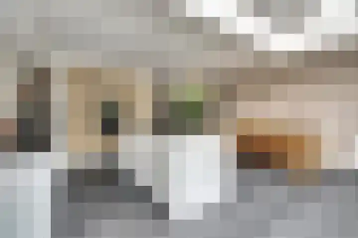 Horatius 6 Wijk bij Duurstede thumbnail 11