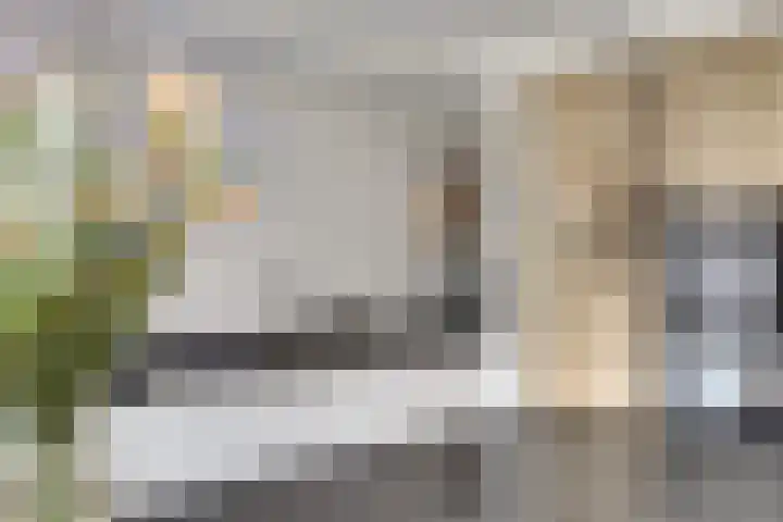 Horatius 6 Wijk bij Duurstede thumbnail 12