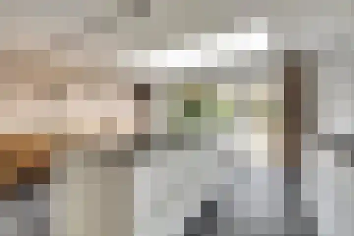 Horatius 6 Wijk bij Duurstede thumbnail 14