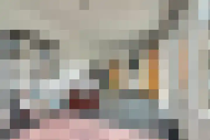 Horatius 6 Wijk bij Duurstede thumbnail 16