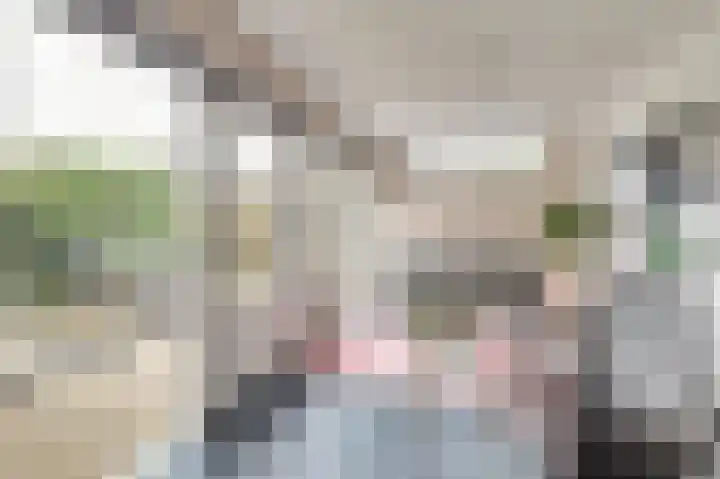 Horatius 6 Wijk bij Duurstede thumbnail 17
