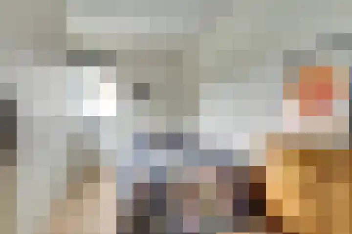 Horatius 6 Wijk bij Duurstede thumbnail 24