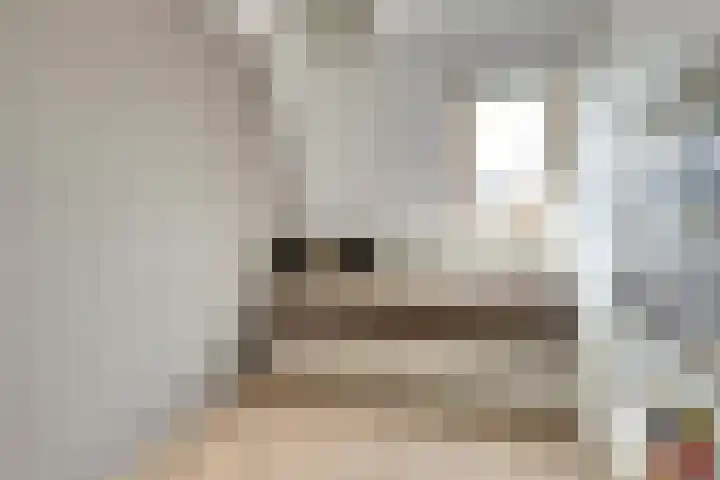 Horatius 6 Wijk bij Duurstede thumbnail 26