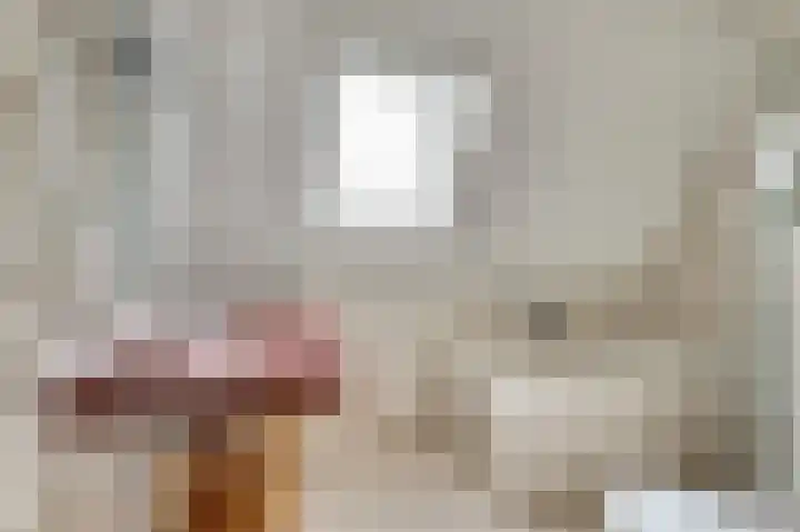 Horatius 6 Wijk bij Duurstede thumbnail 28