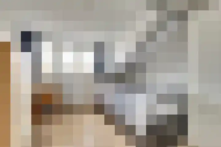 Horatius 6 Wijk bij Duurstede thumbnail 35