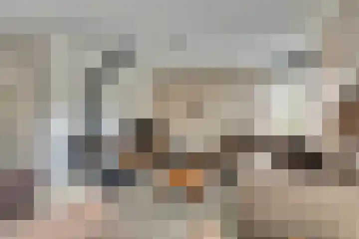 Horatius 6 Wijk bij Duurstede thumbnail 4