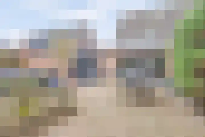 Horatius 6 Wijk bij Duurstede thumbnail 41