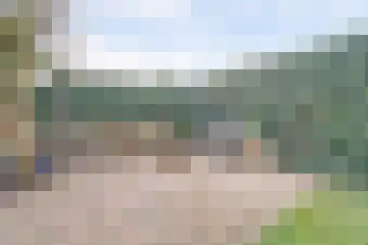 Horatius 6 Wijk bij Duurstede thumbnail 47