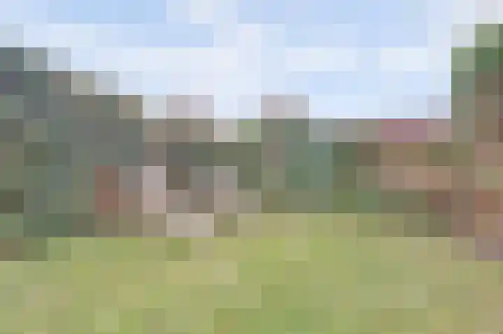 Horatius 6 Wijk bij Duurstede thumbnail 49