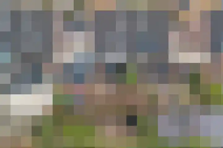 Horatius 6 Wijk bij Duurstede thumbnail 51