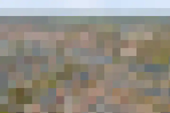 Horatius 6 Wijk bij Duurstede thumbnail 58