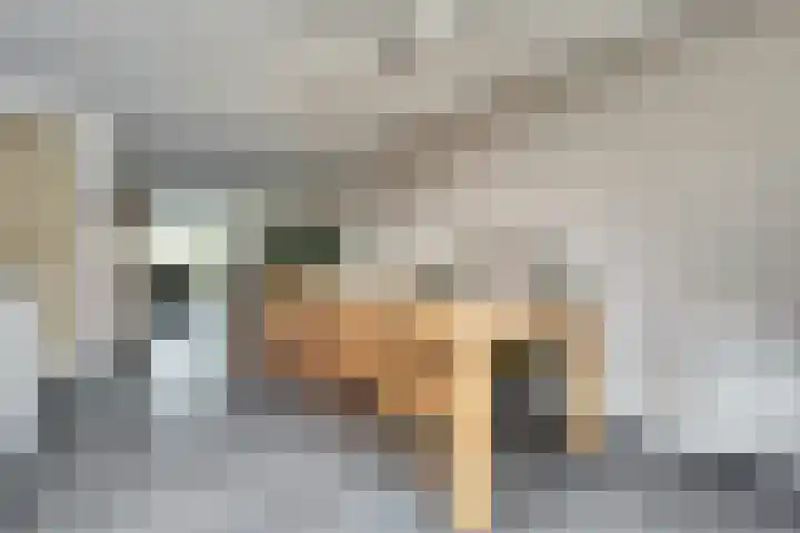 Horatius 6 Wijk bij Duurstede thumbnail 6