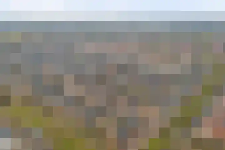 Horatius 6 Wijk bij Duurstede thumbnail 60
