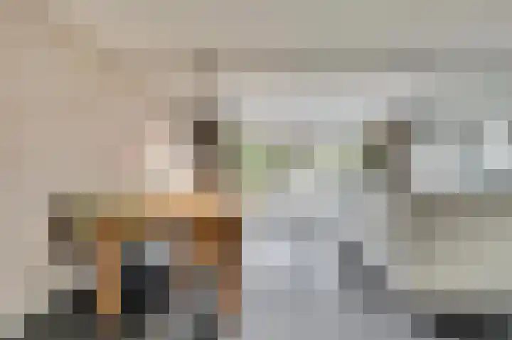 Horatius 6 Wijk bij Duurstede thumbnail 7