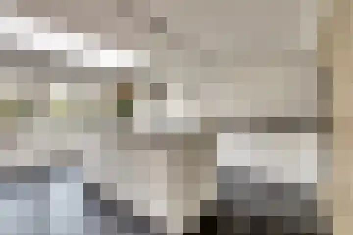 Horatius 6 Wijk bij Duurstede thumbnail 8