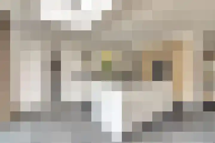 Horatius 6 Wijk bij Duurstede thumbnail 9
