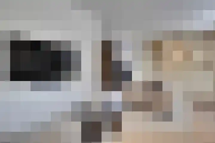 Horatiuslaan 11 Venlo thumbnail 10
